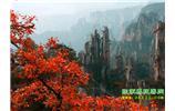 春節(jié)期間：張家界、天子山、金鞭溪自駕車精華精品游