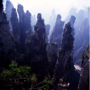 【純玩拼團線路】下午班：鳳凰古城、張家界、天子山三晚四日游