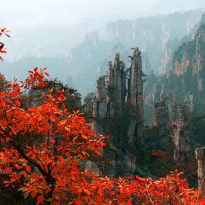 休閑自駕E線：張家界、袁家界、天子山、寶峰湖、鳳凰古城、沱江泛舟四晚五日游